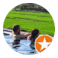 a group of people in a pool